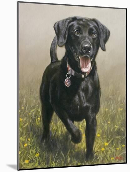 Labrador-John Silver-Mounted Giclee Print