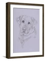 Labrador-Barbara Keith-Framed Giclee Print