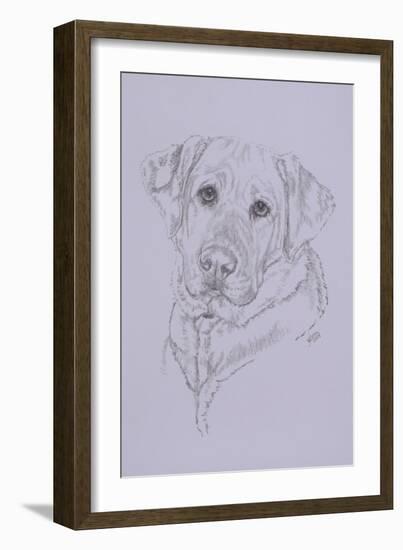 Labrador-Barbara Keith-Framed Giclee Print