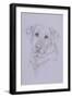 Labrador-Barbara Keith-Framed Giclee Print