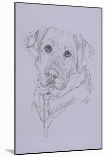 Labrador-Barbara Keith-Mounted Giclee Print