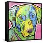 Labrador-Dean Russo-Framed Stretched Canvas