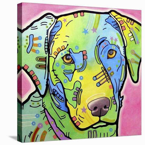 Labrador-Dean Russo-Stretched Canvas