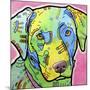 Labrador-Dean Russo-Mounted Giclee Print