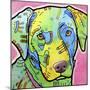 Labrador-Dean Russo-Mounted Giclee Print