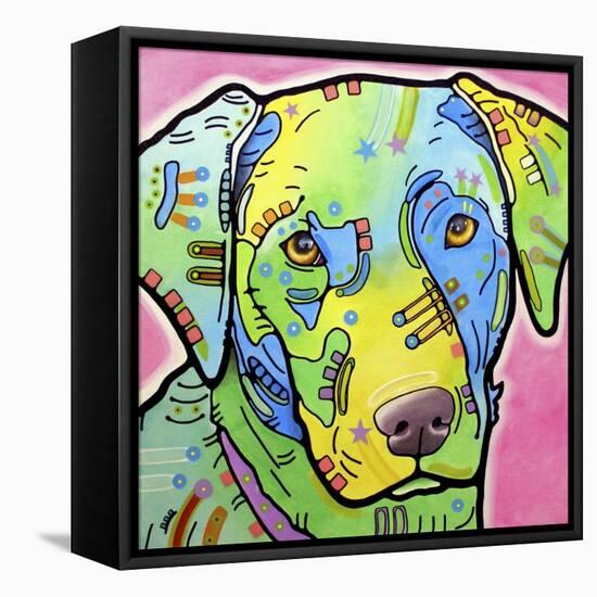 Labrador-Dean Russo-Framed Stretched Canvas