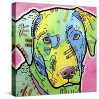 Labrador-Dean Russo-Stretched Canvas