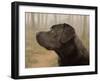 Labrador-John Silver-Framed Giclee Print