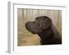 Labrador-John Silver-Framed Giclee Print