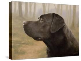 Labrador-John Silver-Stretched Canvas