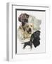 Labrador-Barbara Keith-Framed Premium Giclee Print