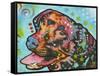 Labrador-Dean Russo-Framed Stretched Canvas