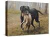 Labrador-John Silver-Stretched Canvas