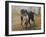 Labrador-John Silver-Framed Giclee Print