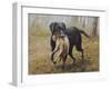 Labrador-John Silver-Framed Giclee Print