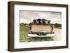 Labradors in a Vintage Truck-claire norman-Framed Photographic Print