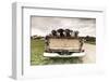 Labradors in a Vintage Truck-claire norman-Framed Photographic Print