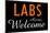 Labs Always Welcome-null-Mounted Poster