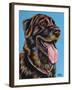 Labs I-Carolee Vitaletti-Framed Art Print