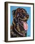 Labs I-Carolee Vitaletti-Framed Art Print