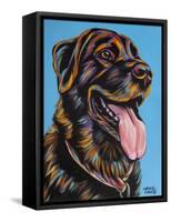 Labs I-Carolee Vitaletti-Framed Stretched Canvas