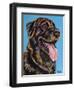 Labs I-Carolee Vitaletti-Framed Art Print