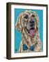 Labs II-Carolee Vitaletti-Framed Art Print