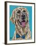 Labs II-Carolee Vitaletti-Framed Art Print