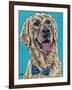 Labs II-Carolee Vitaletti-Framed Art Print