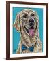 Labs II-Carolee Vitaletti-Framed Art Print