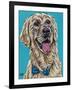 Labs II-Carolee Vitaletti-Framed Art Print