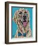 Labs II-Carolee Vitaletti-Framed Art Print