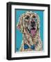 Labs II-Carolee Vitaletti-Framed Art Print