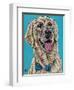 Labs II-Carolee Vitaletti-Framed Art Print