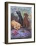 Labs-Judy Mastrangelo-Framed Giclee Print