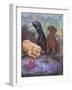 Labs-Judy Mastrangelo-Framed Giclee Print