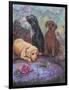 Labs-Judy Mastrangelo-Framed Giclee Print