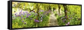 Laburnum Trees at Barnsley House Gardens, Gloucestershire, England-null-Framed Stretched Canvas