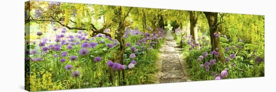 Laburnum Trees at Barnsley House Gardens, Gloucestershire, England-null-Stretched Canvas