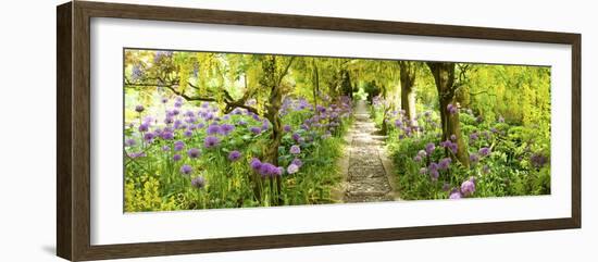 Laburnum Trees at Barnsley House Gardens, Gloucestershire, England-null-Framed Photographic Print