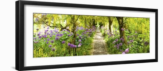 Laburnum Trees at Barnsley House Gardens, Gloucestershire, England-null-Framed Photographic Print