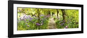 Laburnum Trees at Barnsley House Gardens, Gloucestershire, England-null-Framed Photographic Print