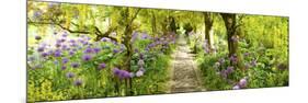 Laburnum Trees at Barnsley House Gardens, Gloucestershire, England-null-Mounted Photographic Print