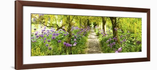 Laburnum Trees at Barnsley House Gardens, Gloucestershire, England-null-Framed Photographic Print