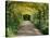 Laburnum Walk in Wilderness Gardens, Hampton Court, Greater London, England, United Kingdom-Walter Rawlings-Stretched Canvas