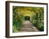 Laburnum Walk in Wilderness Gardens, Hampton Court, Greater London, England, United Kingdom-Walter Rawlings-Framed Photographic Print