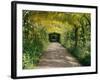 Laburnum Walk in Wilderness Gardens, Hampton Court, Greater London, England, United Kingdom-Walter Rawlings-Framed Photographic Print