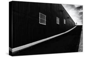 Labyrinth of Air-Paulo Abrantes-Stretched Canvas