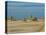 Lac Abbe (Lake Abhe Bad) With Its Chimneys, Republic of Djibouti, Africa-null-Stretched Canvas