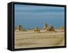 Lac Abbe (Lake Abhe Bad) With Its Chimneys, Republic of Djibouti, Africa-null-Framed Stretched Canvas